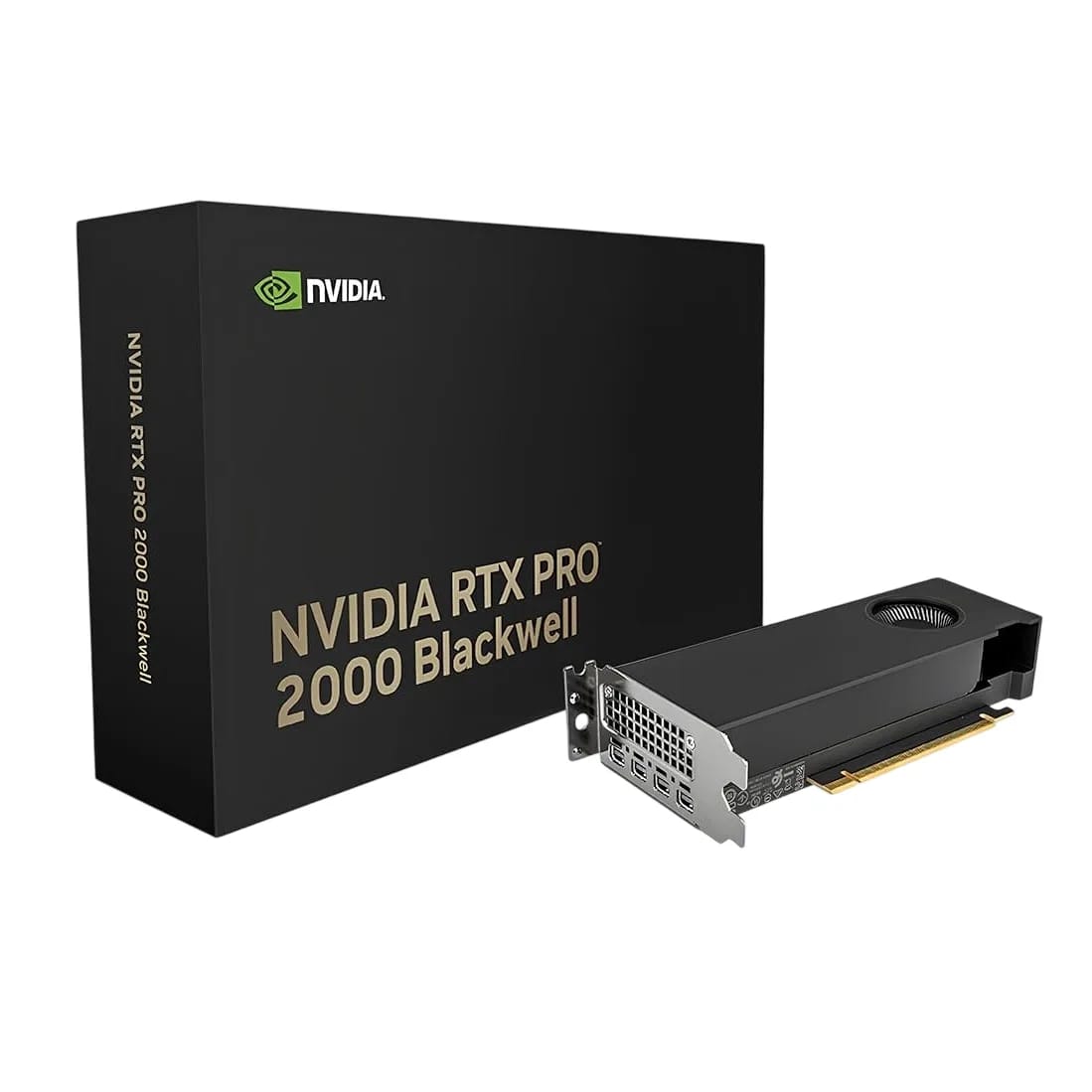 Placa de video PNY QUADRO RTX PRO 2000 Blackwell 16Gb GDDR7 4x Mini Display Port
