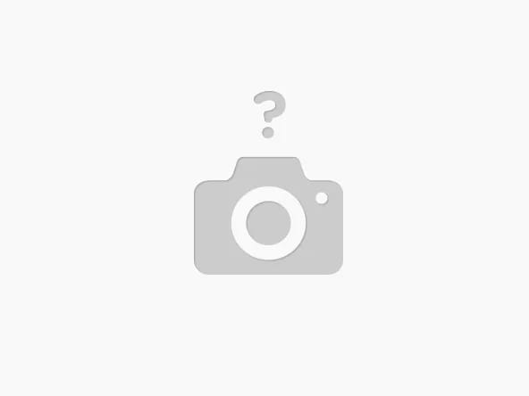 Clip Terminal N° 01