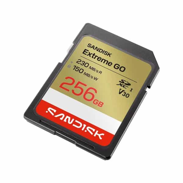Tarjeta de memoria SD SanDisk Extreme Go 256 GB UHS-I SDSDXGN-256G-GNCIN