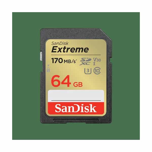 Tarjeta de memoria SD SanDisk Extreme Go 64 GB UHS-I 230 MB/s SDSDXV2-064G-GNCIN