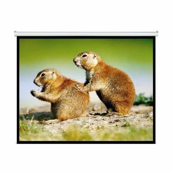 Pantalla para proyector Intelaid 120" colgante IT-SPS120