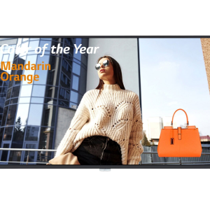 PANTALLA PROF 49″ UHD 24/7 500NITS OS4.1 PANTALLA PROF 49″ UHD 24/7 500NITS OS4.1