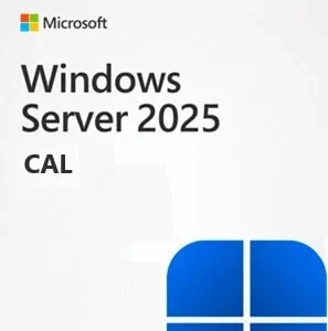 WIN SVR CAL 25 SPA 1PK DSPOEI 1CTL DCAL